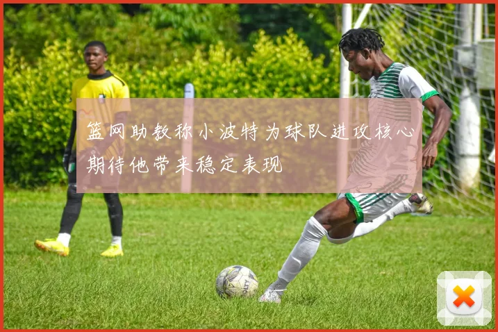 篮网助教称小波特为球队进攻核心期待他带来稳定表现