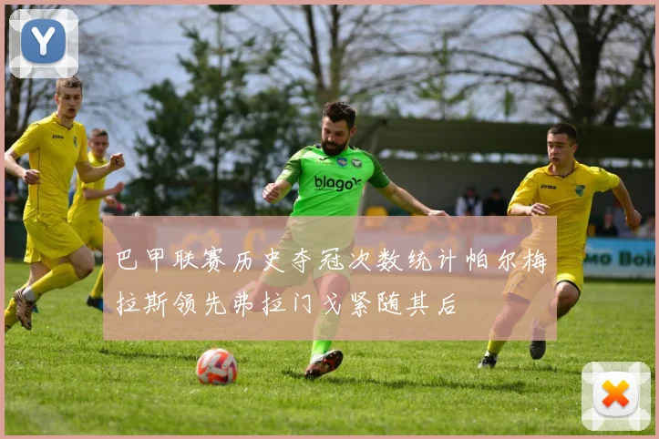 巴甲联赛历史夺冠次数统计帕尔梅拉斯领先弗拉门戈紧随其后