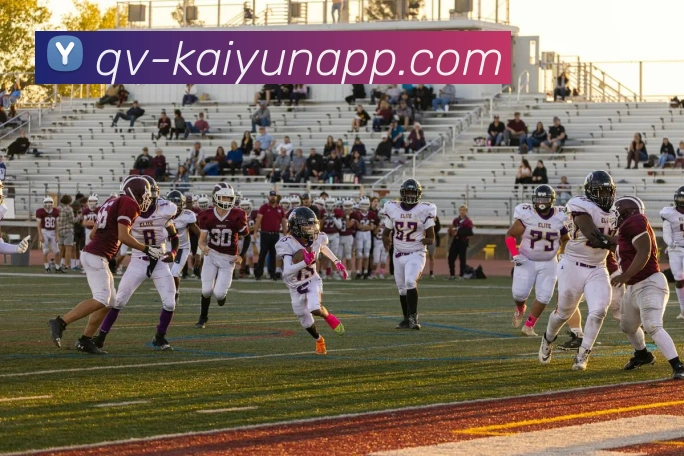 多媒体互动体验